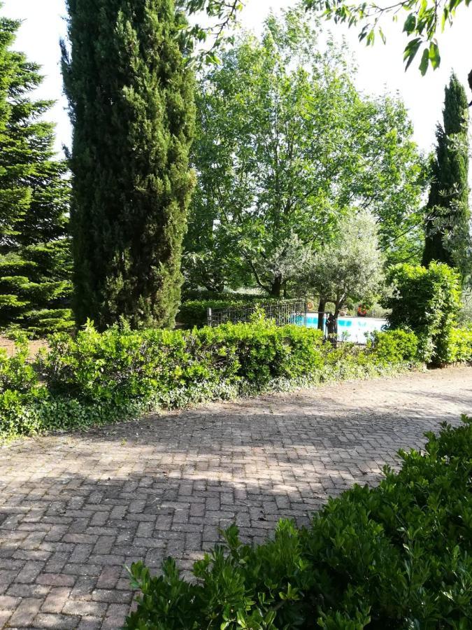 Bed and Breakfast La Terrazza Su Roma Zagarolo Exterior foto